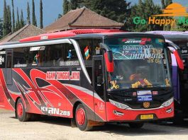 Sewa bus pariwisata di Ngawi Terbaru