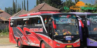 Sewa bus pariwisata di Ngawi Terbaru