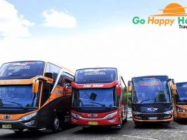 Sewa bus pariwisata di Pasuruan Terbaru murah