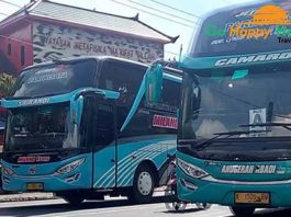 Sewa bus pariwisata di Gresik Terbaik murah