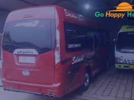 Daftar Harga Sewa Elf di Banyuwangi Murah Terbaru Terbaik