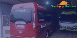 Daftar Harga Sewa Elf di Banyuwangi Murah Terbaru Terbaik