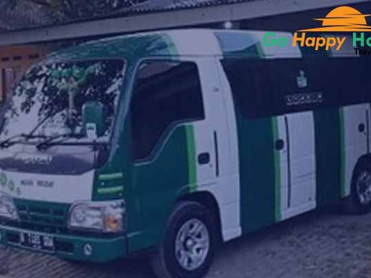 Daftar Harga Sewa Elf di Gresik Murah Terbaru Terbaik
